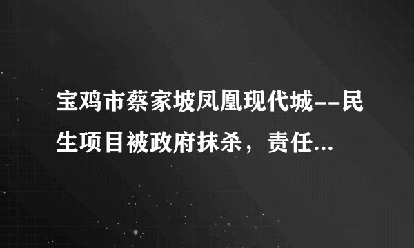 宝鸡市蔡家坡凤凰现代城--民生项目被政府抹杀，责任应该由谁来承担