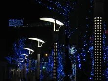 A570 IS实拍样片赏析