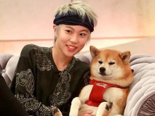 窦靖童好听的中文歌