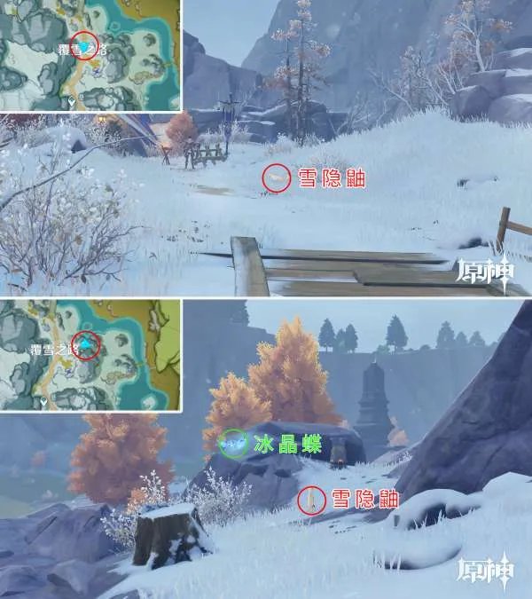 原神四方八方之网可捕捉动物在哪