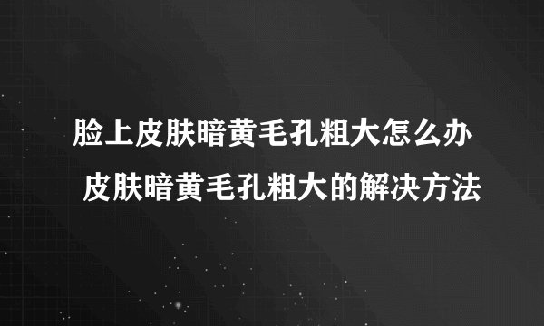 脸上皮肤暗黄毛孔粗大怎么办 皮肤暗黄毛孔粗大的解决方法