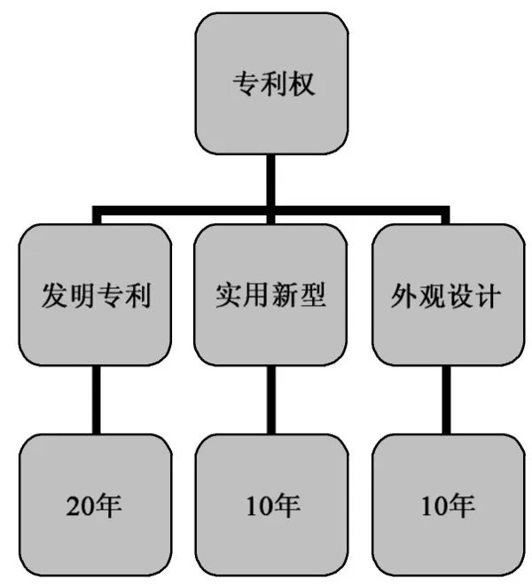 什么是专利基本知识？