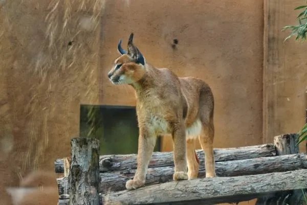 济南亲子游好都有哪些好去处？