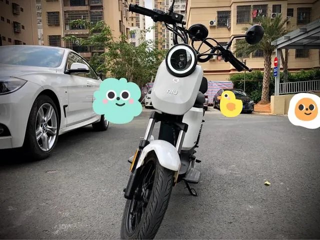 小牛电动车官网买车