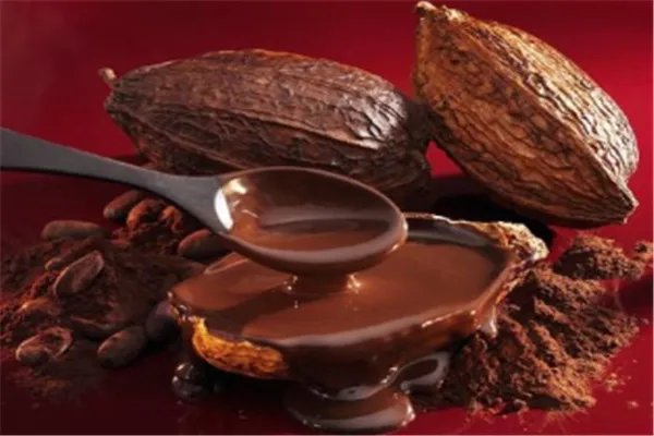 可可豆的原产地在哪里