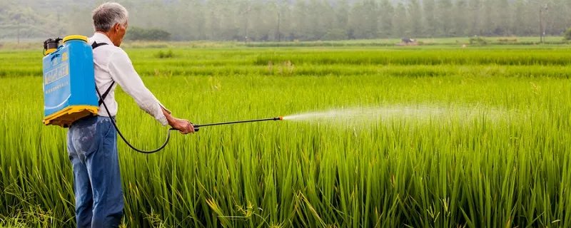 第一产业第二产业第三产业是什么 我国第一产业第二产业第三产业是什么