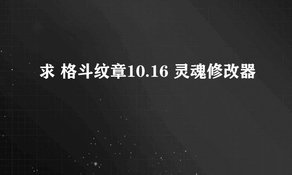 求 格斗纹章10.16 灵魂修改器