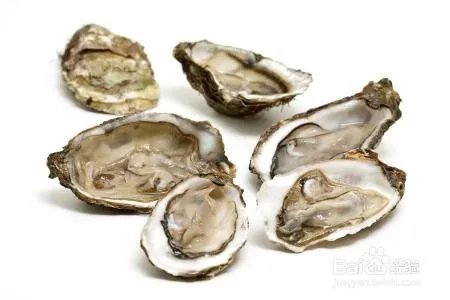 白金牡蛎服用方法