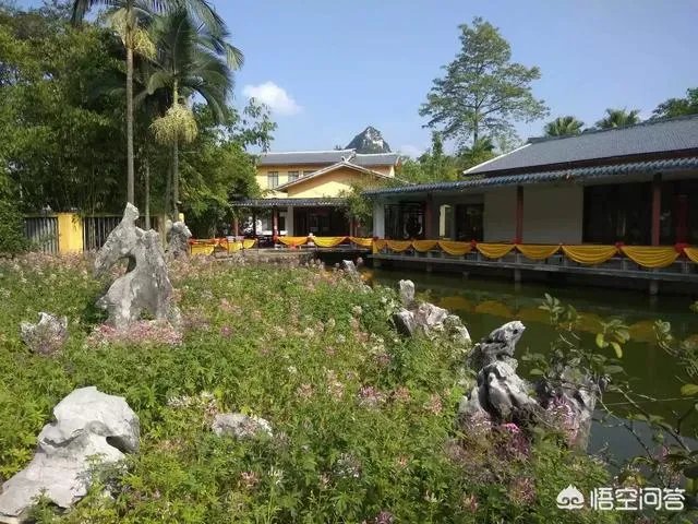 广西九旬老人病重住大棚,镇政府:当地忌讳老人在女儿家过世,你怎么看?