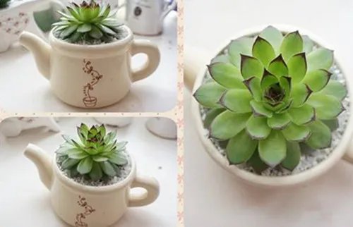 婚礼回礼送什么 结婚回礼一般回哪四样