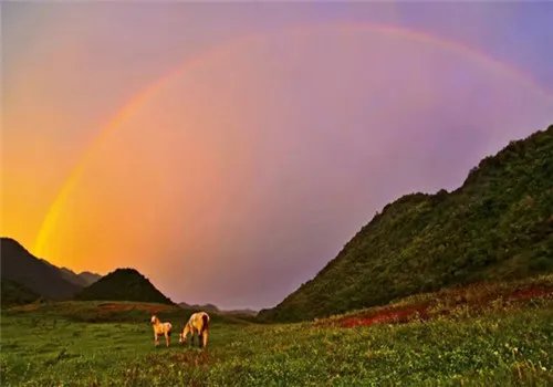 重庆拍婚纱照哪里好 重庆婚纱照哪里取景漂亮