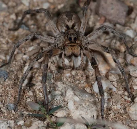 男子发现奇怪洞口:查看后被吓得连退几步(图)