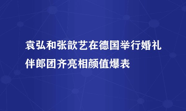 袁弘和张歆艺在德国举行婚礼伴郎团齐亮相颜值爆表