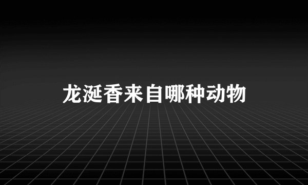 龙涎香来自哪种动物