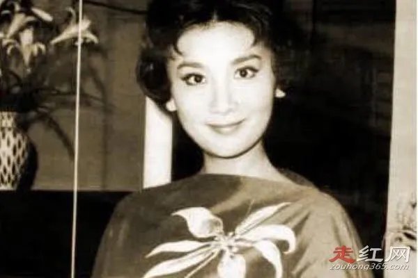 夏梦其实并不漂亮 老公林葆诚到底是谁