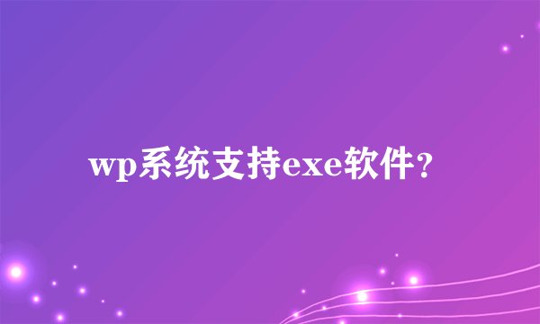 wp系统支持exe软件？