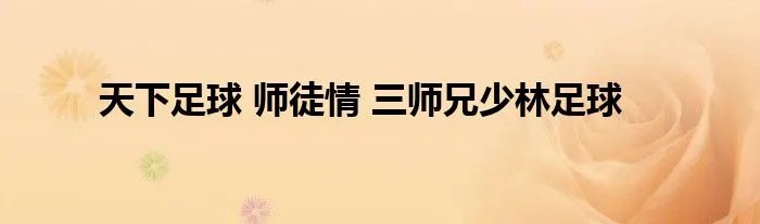天下足球 师徒情 三师兄少林足球