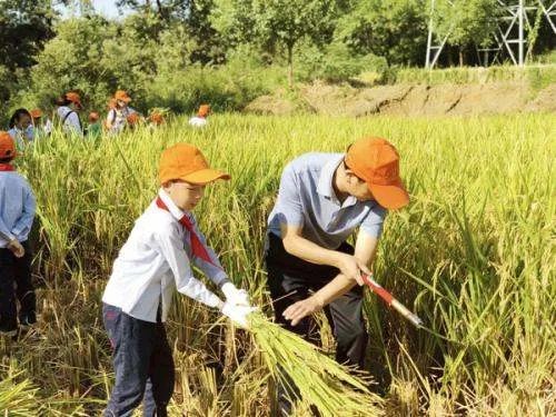 建议鼓励大中小学开设学农实践，这一建议为的是什么？