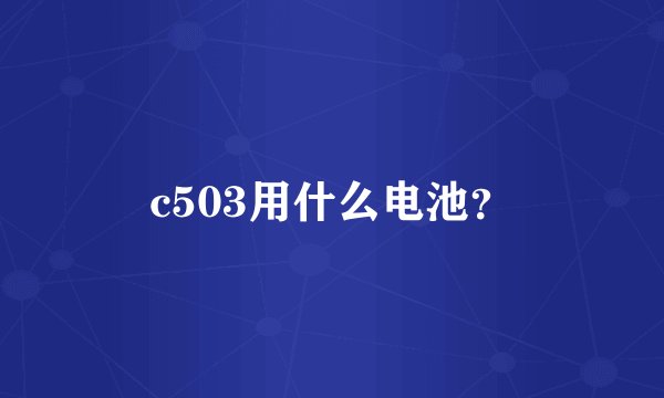 c503用什么电池？