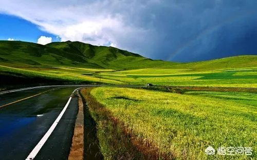 端午节想去草原旅游,这个时节草原好玩儿吗?