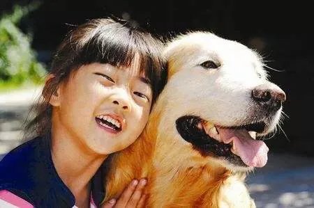 当你的猫或者狗狗去世之后，你还会再养吗？