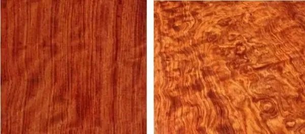 别再上当受骗了,如何辨别真假刺猬紫檀?