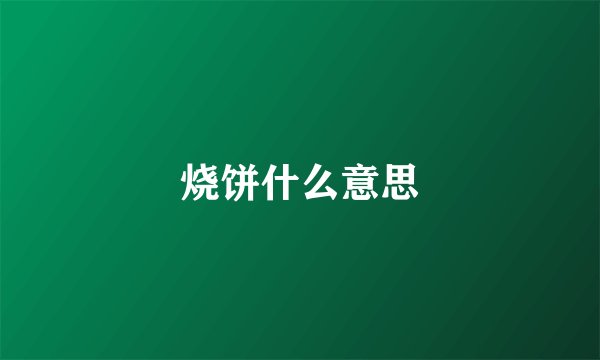 烧饼什么意思