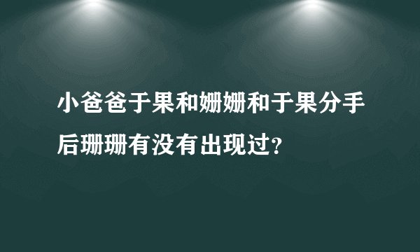 小爸爸于果和姗姗和于果分手后珊珊有没有出现过？