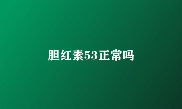 胆红素53正常吗