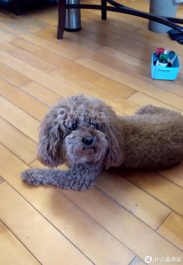 闻香识女人:翻一翻自家女王的小众香水