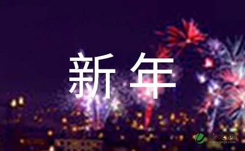 个人新年计划书