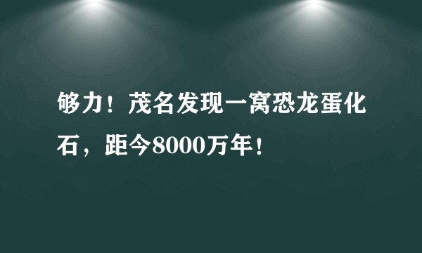 够力！茂名发现一窝恐龙蛋化石，距今8000万年！