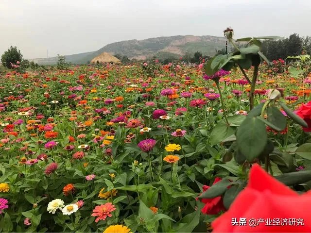 河北人怎么看省会石家庄！他们说省会是北京天津！你怎么看？