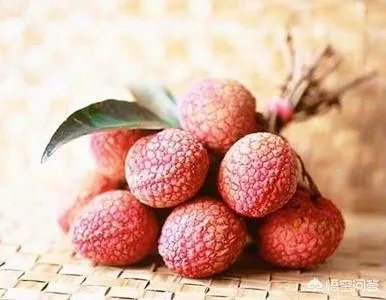 杨贵妃要等多久才能吃到新鲜荔枝？