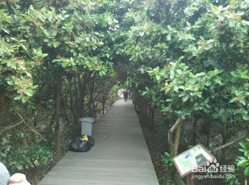 珠海淇澳岛好玩吗