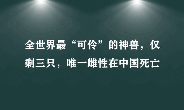 全世界最“可伶”的神兽,仅剩三只,唯一雌性在中国死亡