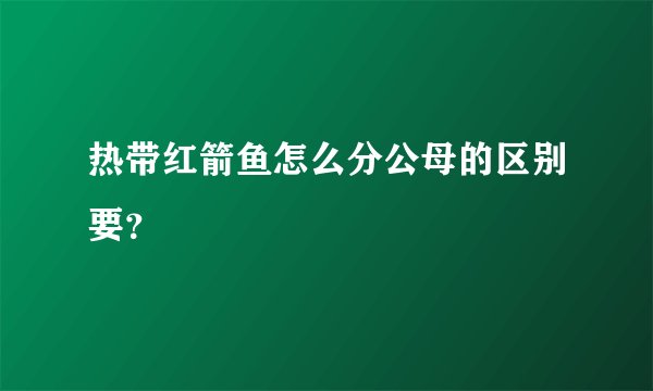 热带红箭鱼怎么分公母的区别要？