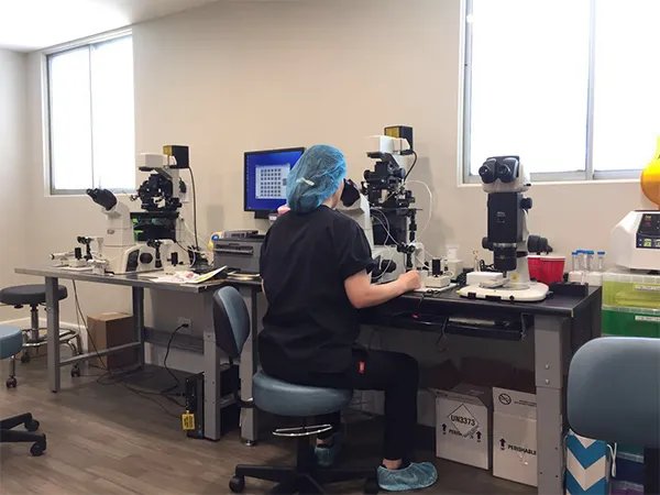 美国WFI中心:曾获CDC统计中试管成功率榜单榜一