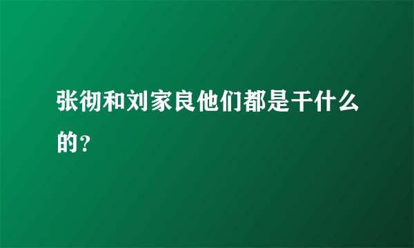 张彻和刘家良他们都是干什么的？