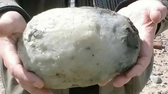 渔夫捡到一块臭石头 竟是价值数百万（图）