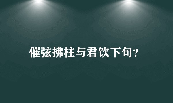 催弦拂柱与君饮下句？