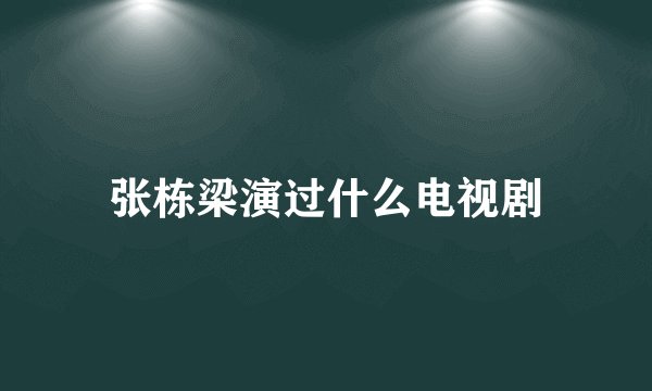 张栋梁演过什么电视剧