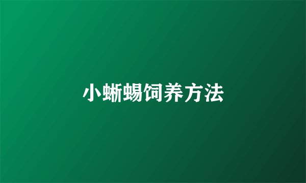 小蜥蜴饲养方法
