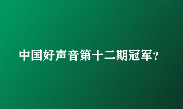 中国好声音第十二期冠军？