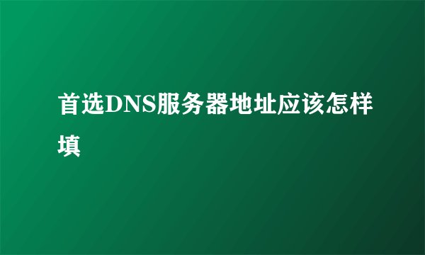 首选DNS服务器地址应该怎样填