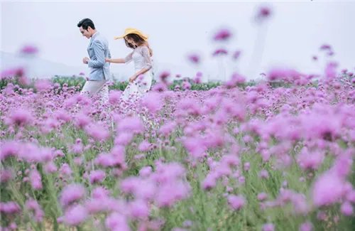 深圳婚纱摄影排名 以下婚纱摄影楼有你喜欢的吗