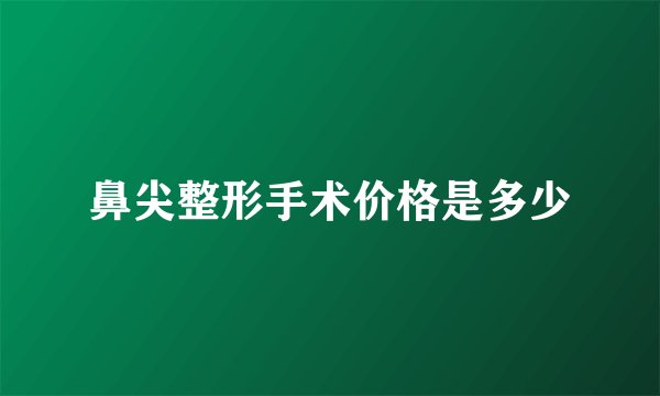 鼻尖整形手术价格是多少