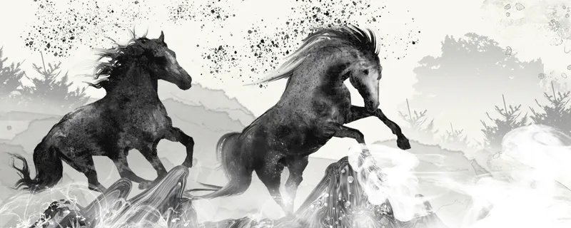 属马2020年运势及运程 属马人2020年全年每月运程