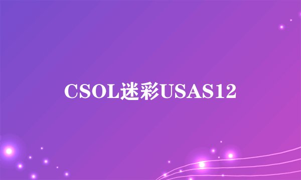 CSOL迷彩USAS12