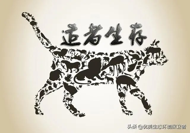 如果达尔文的进化论是正确的,人类最后会进化成什么模样?